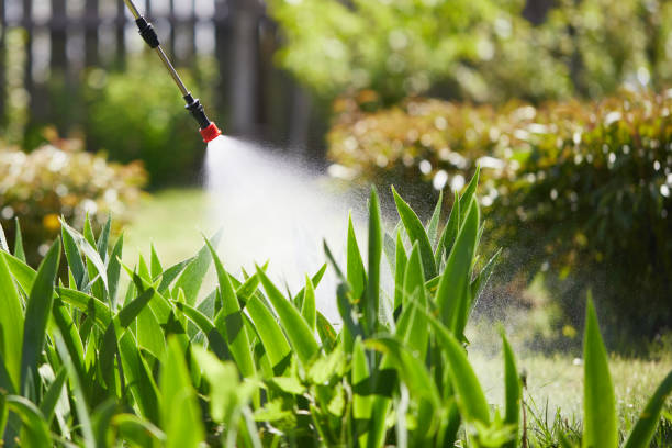 24/7 Emergency Ant Control experts in Zachary, LA