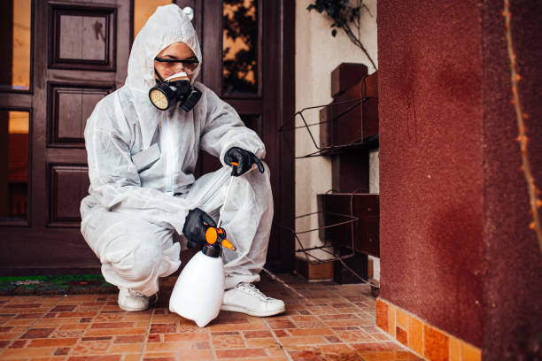 Reliable Ant Control contractor in Zachary, LA by Show Me Pest Control